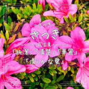 ききょう 昨日は✋ しゅうかつ倶楽部