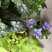 ヒメ日記 2026/08/04 08:18 投稿 ききょう しゅうかつ倶楽部