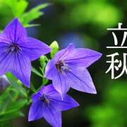 ヒメ日記 2026/08/09 10:19 投稿 ききょう しゅうかつ倶楽部