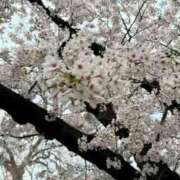 ヒメ日記 2025/04/07 19:06 投稿 のあ Vitamin〜ビタミン〜