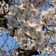 ヒメ日記 2026/04/02 17:47 投稿 のあ Vitamin〜ビタミン〜