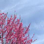 ヒメ日記 2025/03/25 07:15 投稿 れんか 虹色メロンパイ 横浜店