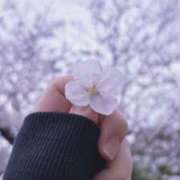 ヒメ日記 2025/04/04 15:48 投稿 れんか 虹色メロンパイ 横浜店