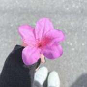 ヒメ日記 2025/04/19 14:30 投稿 れんか 虹色メロンパイ 横浜店