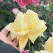 ヒメ日記 2025/05/30 20:31 投稿 れんか 虹色メロンパイ 横浜店