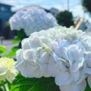 ヒメ日記 2025/06/01 09:33 投稿 れんか 虹色メロンパイ 横浜店