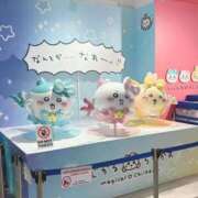 ヒメ日記 2025/06/11 20:00 投稿 れんか 虹色メロンパイ 横浜店