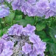 ヒメ日記 2025/06/15 10:15 投稿 れんか 虹色メロンパイ 横浜店