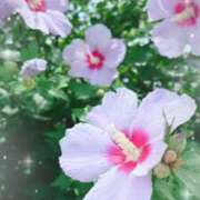 ヒメ日記 2025/06/27 10:29 投稿 れんか 虹色メロンパイ 横浜店