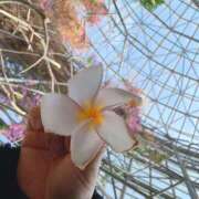 ヒメ日記 2026/03/17 23:30 投稿 れんか 虹色メロンパイ 横浜店