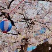 ヒメ日記 2025/04/02 11:50 投稿 めい 奥様特急　池袋・大塚店