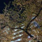 ヒメ日記 2025/04/09 01:40 投稿 めい 奥様特急　池袋・大塚店