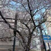 ヒメ日記 2026/04/02 16:00 投稿 みゆ プレミアム(福原)