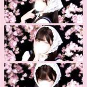 ヒメ日記 2026/04/08 17:24 投稿 みゆ プレミアム(福原)