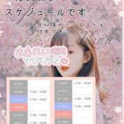 ヒメ日記 2025/04/06 14:43 投稿 一ノ瀬りな(いちのせりな) 鶯谷ナンバーワン