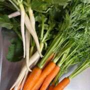 ヒメ日記 2025/04/25 21:37 投稿 一ノ瀬りな(いちのせりな) 鶯谷ナンバーワン