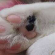 ヒメ日記 2025/04/29 08:01 投稿 一ノ瀬りな(いちのせりな) 鶯谷ナンバーワン