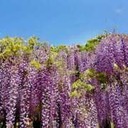 ヒメ日記 2025/04/30 21:21 投稿 一ノ瀬りな(いちのせりな) 鶯谷ナンバーワン