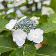 ヒメ日記 2025/06/03 06:45 投稿 一ノ瀬りな(いちのせりな) 鶯谷ナンバーワン