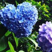 ヒメ日記 2025/06/09 07:20 投稿 一ノ瀬りな(いちのせりな) 鶯谷ナンバーワン