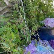 ヒメ日記 2025/06/18 07:20 投稿 一ノ瀬りな(いちのせりな) 鶯谷ナンバーワン