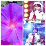 ヒメ日記 2025/07/20 09:20 投稿 一ノ瀬りな(いちのせりな) 鶯谷ナンバーワン