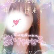 ヒメ日記 2025/08/18 10:20 投稿 一ノ瀬りな(いちのせりな) 鶯谷ナンバーワン