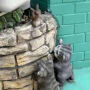 ヒメ日記 2025/08/18 23:50 投稿 一ノ瀬りな(いちのせりな) 鶯谷ナンバーワン