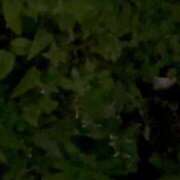 ヒメ日記 2025/08/20 23:30 投稿 一ノ瀬りな(いちのせりな) 鶯谷ナンバーワン