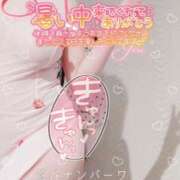 ヒメ日記 2025/08/21 00:00 投稿 一ノ瀬りな(いちのせりな) 鶯谷ナンバーワン