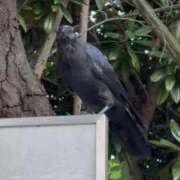 ヒメ日記 2025/08/26 18:50 投稿 一ノ瀬りな(いちのせりな) 鶯谷ナンバーワン