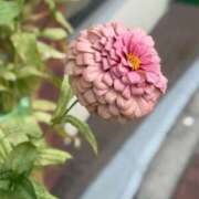 ヒメ日記 2025/09/03 23:30 投稿 一ノ瀬りな(いちのせりな) 鶯谷ナンバーワン