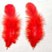 ヒメ日記 2025/10/04 10:10 投稿 一ノ瀬りな(いちのせりな) 鶯谷ナンバーワン