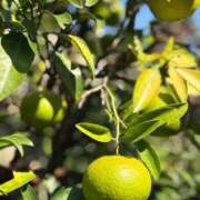 ヒメ日記 2025/10/30 12:55 投稿 一ノ瀬りな(いちのせりな) 鶯谷ナンバーワン