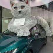 ヒメ日記 2025/11/07 23:30 投稿 一ノ瀬りな(いちのせりな) 鶯谷ナンバーワン