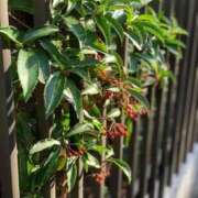 ヒメ日記 2025/11/10 10:10 投稿 一ノ瀬りな(いちのせりな) 鶯谷ナンバーワン