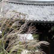 ヒメ日記 2025/11/19 08:20 投稿 一ノ瀬りな(いちのせりな) 鶯谷ナンバーワン