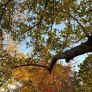 ヒメ日記 2025/11/30 18:10 投稿 一ノ瀬りな(いちのせりな) 鶯谷ナンバーワン