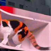 ヒメ日記 2025/12/10 20:50 投稿 一ノ瀬りな(いちのせりな) 鶯谷ナンバーワン