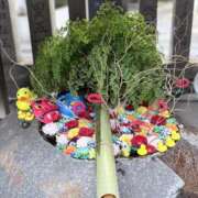 ヒメ日記 2026/02/06 19:10 投稿 一ノ瀬りな(いちのせりな) 鶯谷ナンバーワン