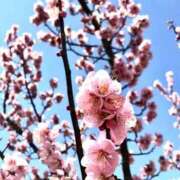 一ノ瀬りな(いちのせりな) 🌸 春眠不覺曉 🌸 鶯谷ナンバーワン