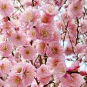 ヒメ日記 2026/02/26 09:50 投稿 一ノ瀬りな(いちのせりな) 鶯谷ナンバーワン