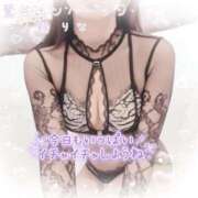 ヒメ日記 2026/02/28 10:10 投稿 一ノ瀬りな(いちのせりな) 鶯谷ナンバーワン