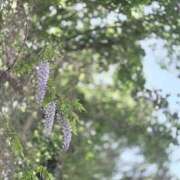 ヒメ日記 2026/04/21 23:20 投稿 一ノ瀬りな(いちのせりな) 鶯谷ナンバーワン