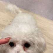 ヒメ日記 2026/01/20 02:01 投稿 みみ♡神乳Hカップ美女♡ ラブチャンス(福岡)