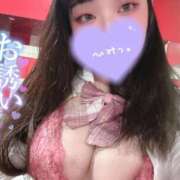 ヒメ日記 2025/03/16 20:16 投稿 ひなた ホワイトハウス