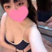 ヒメ日記 2025/03/21 14:35 投稿 ひなた ホワイトハウス