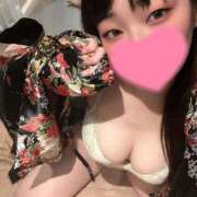 ヒメ日記 2025/03/24 14:44 投稿 ひなた ホワイトハウス