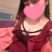 ヒメ日記 2025/04/15 10:38 投稿 ひなた ホワイトハウス