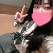 ヒメ日記 2025/04/18 11:15 投稿 ひなた ホワイトハウス